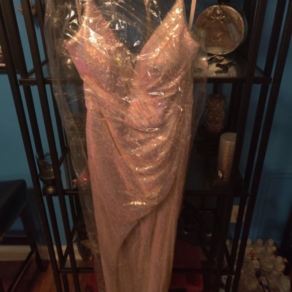 Gorgeous gown size 16 - Picture 11 of 13